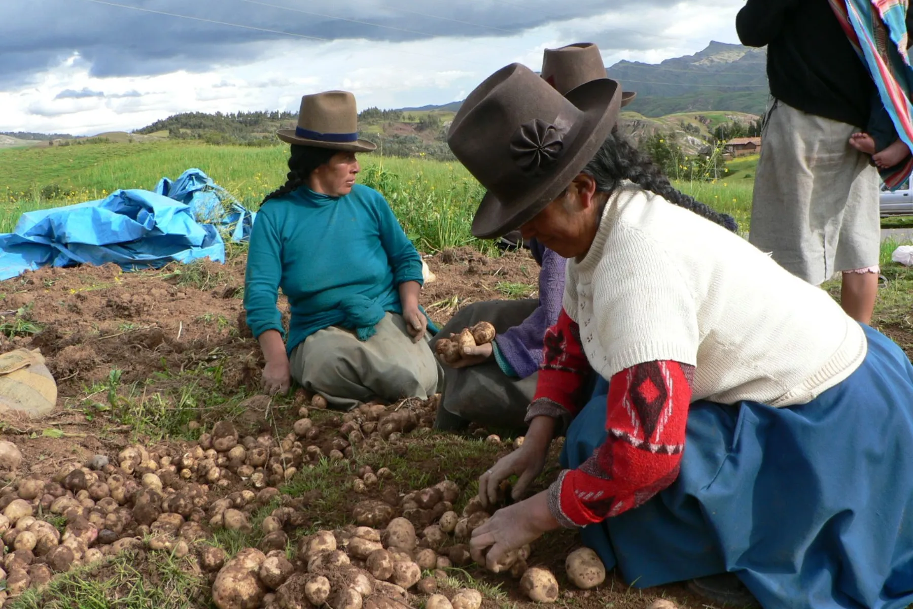 MIDAGRI aprueba reglamento de Ley 31339 para agroindustria