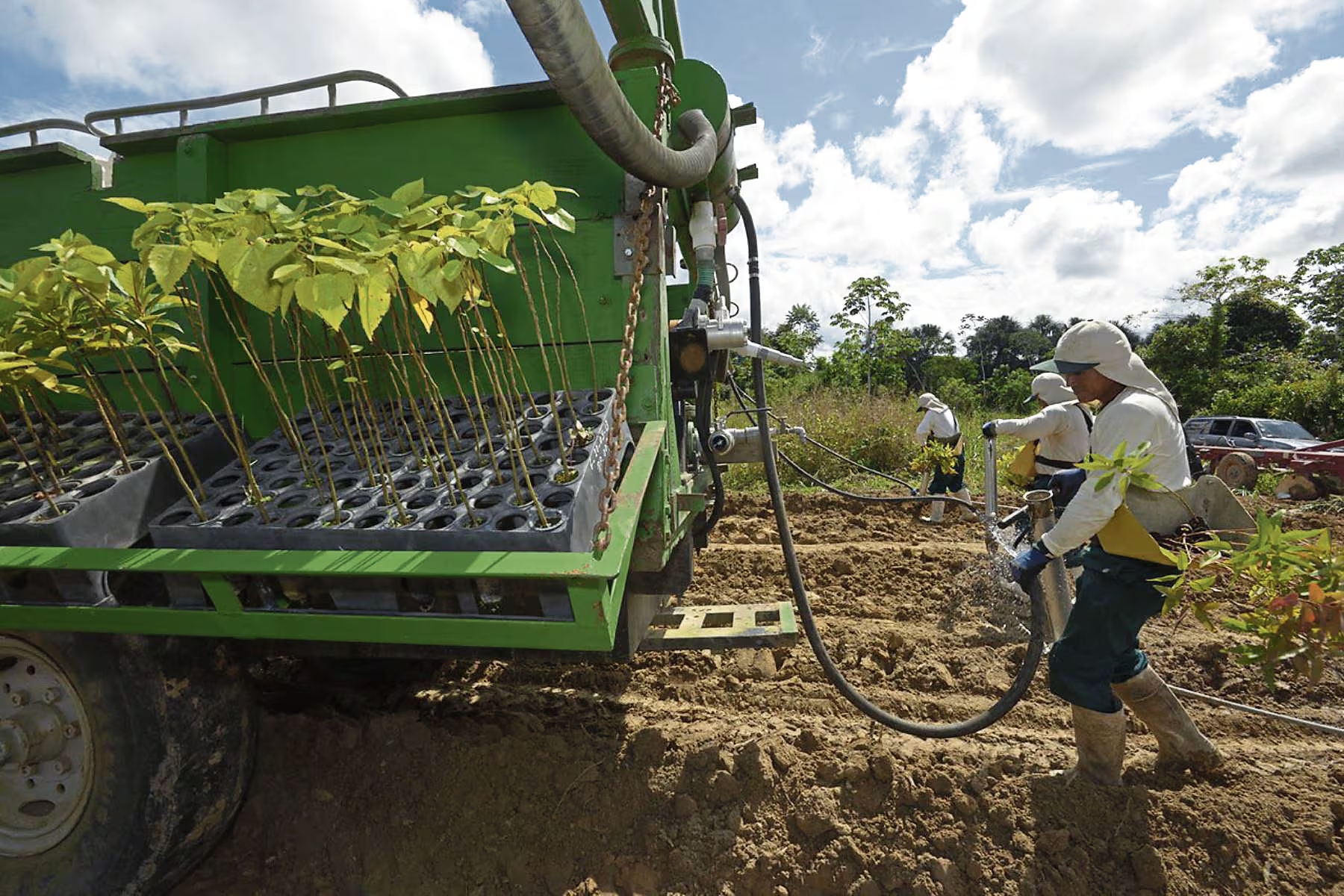 SUNAT: Formularios para regimen agrario listos en abril 2026